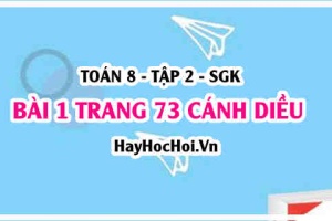 Bài 1 trang 73 Toán 8 Tập 2 Cánh Diều